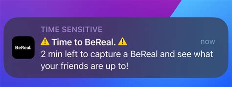 time to bereal notification|⚠️Time to BeReal.⚠️ Notification – BeReal Help Center